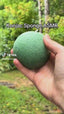 Konjac Sponge Bundle (5-Pack)