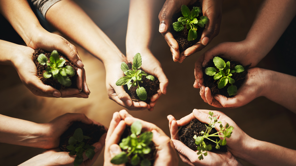 New to Sustainability? 10 Easy Tips to Get You Started
